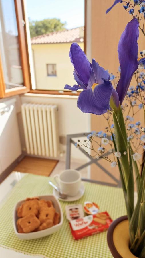 Apartament Casa Lilly Porto SantʼElpidio Zewnętrze zdjęcie